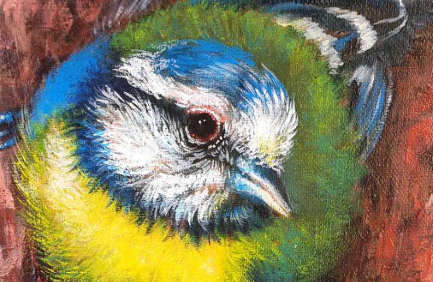 bird